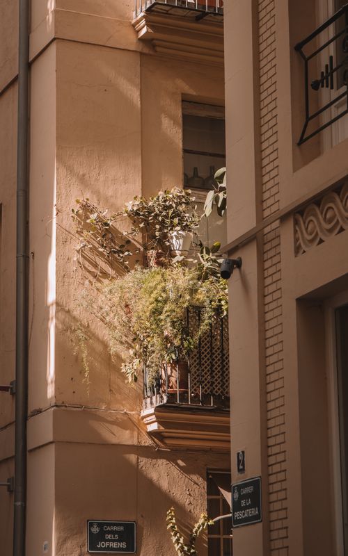 Free A sunlit balcony adorned with plants in a Valencia street, showcasing charming architecture. Stock Photo