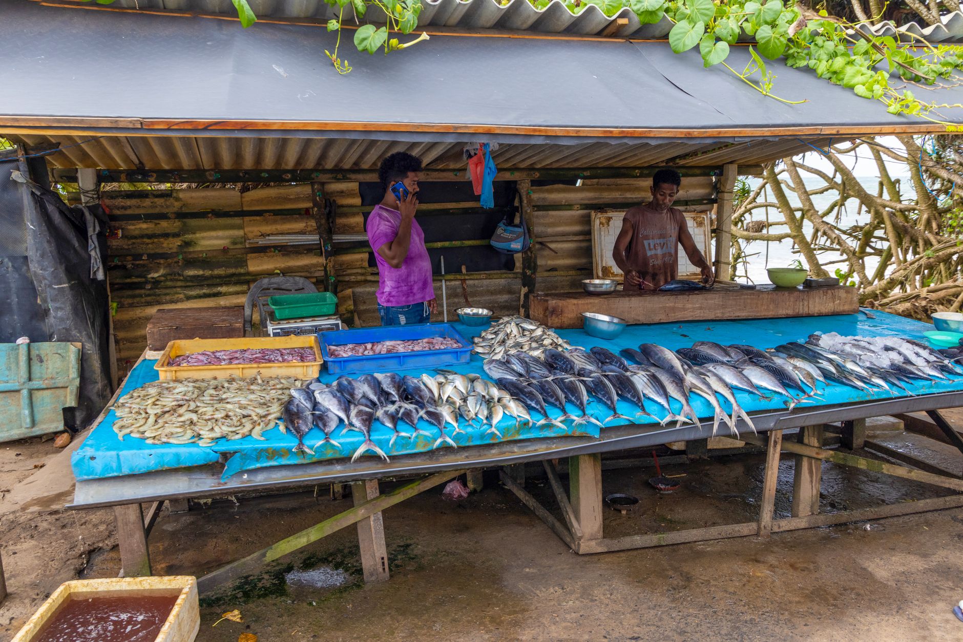 Bentota for Solo Travellers: Safety and Practical Tips