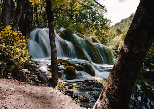 Fotos de stock gratuitas de aventura, bosque, cascada