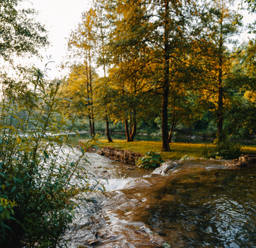Serene autumn landscape with golden trees by a tranquil river under warm afternoon light.