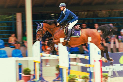 Photo of a Horse with a Jockey During a Sports Competition