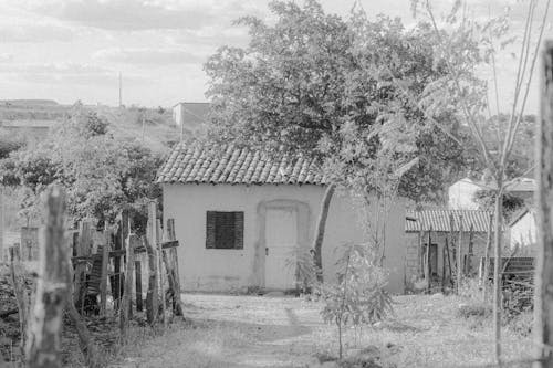 Foto d'estoc gratuïta de blanc i negre, casa, casa de camp