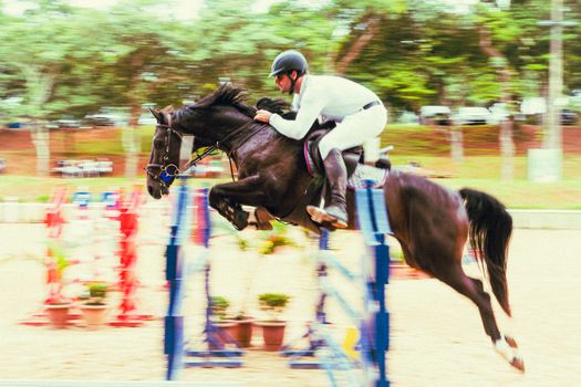 Free stock photo of action, action energy, cavalry