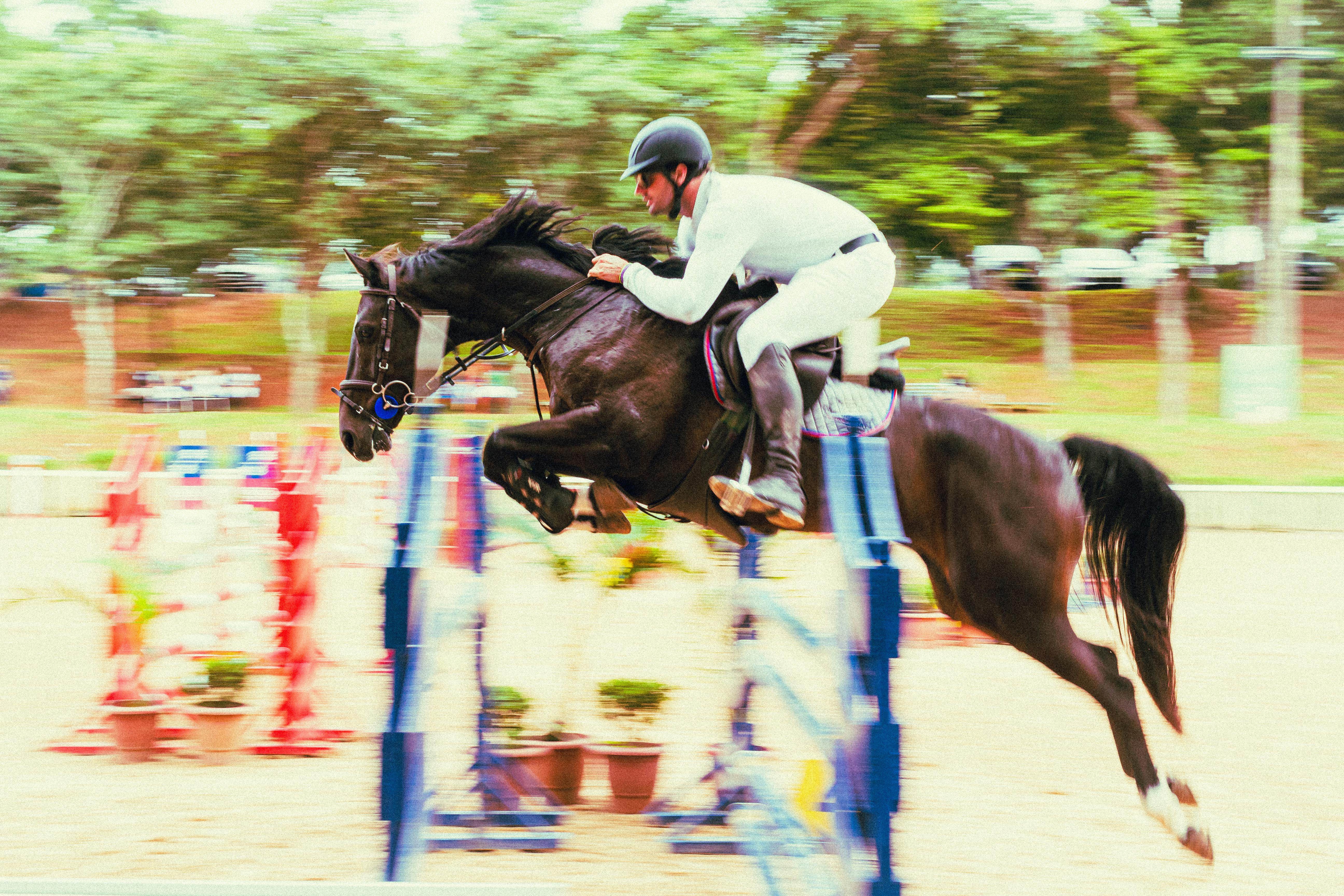 Foto Homem andando a cavalo pulando na cerca vermelha – Imagem de Show de  cavalos dublin grátis no Unsplash