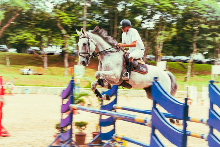 Photo Of A Jumping Horse With A Jockey