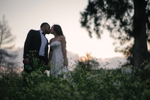 결혼 사진, 남자, 로우앵글 샷의 무료 스톡 사진