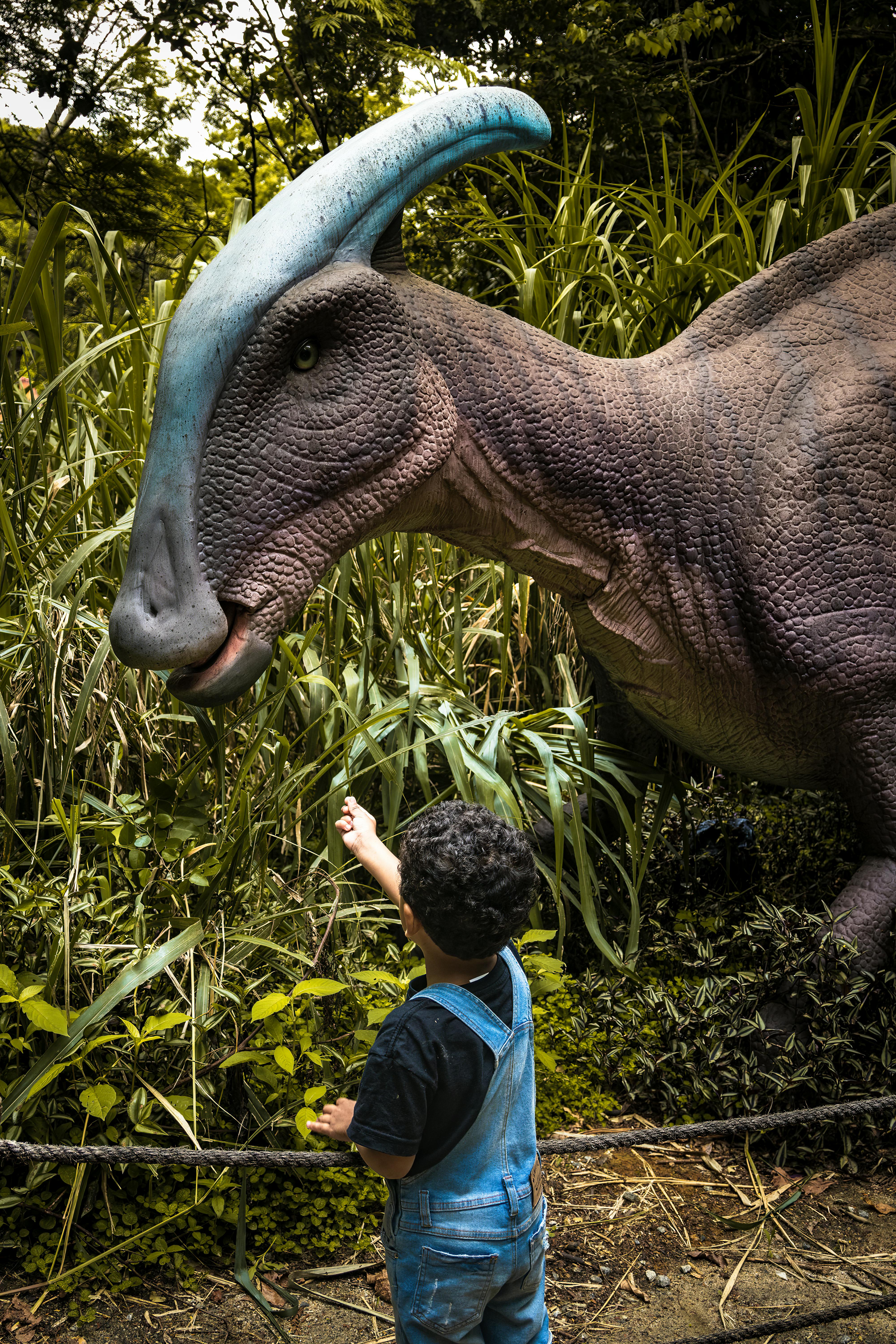 Gratis lagerfoto af barn, blå dinosaur, børn Lagerfoto
