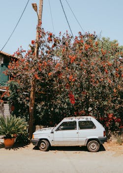 Retro car parked beside vibrant flowering bush in Kerkyra, Greece. Perfect for vintage travel visuals.
