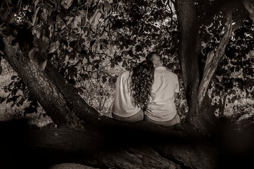 Embracing Couple Sitting on Tree