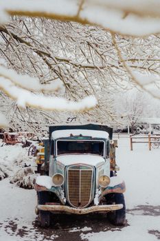 A rusted vintage truck in a snowy yard under snow-laden trees in Reno, NV.