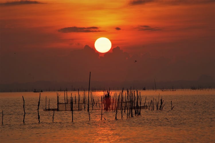 Sea Lagoon At Sunset