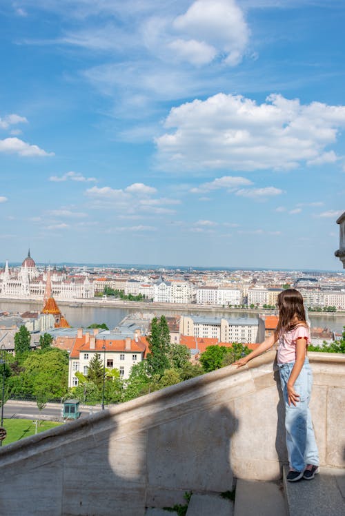 Бесплатное стоковое фото с Будапешт, вертикальный выстрел, город