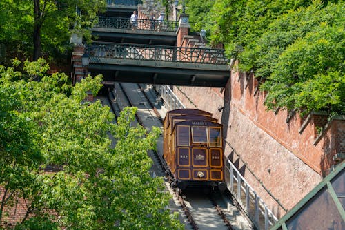 Fotos de stock gratuitas de arboles, Budapest, ferrocarril