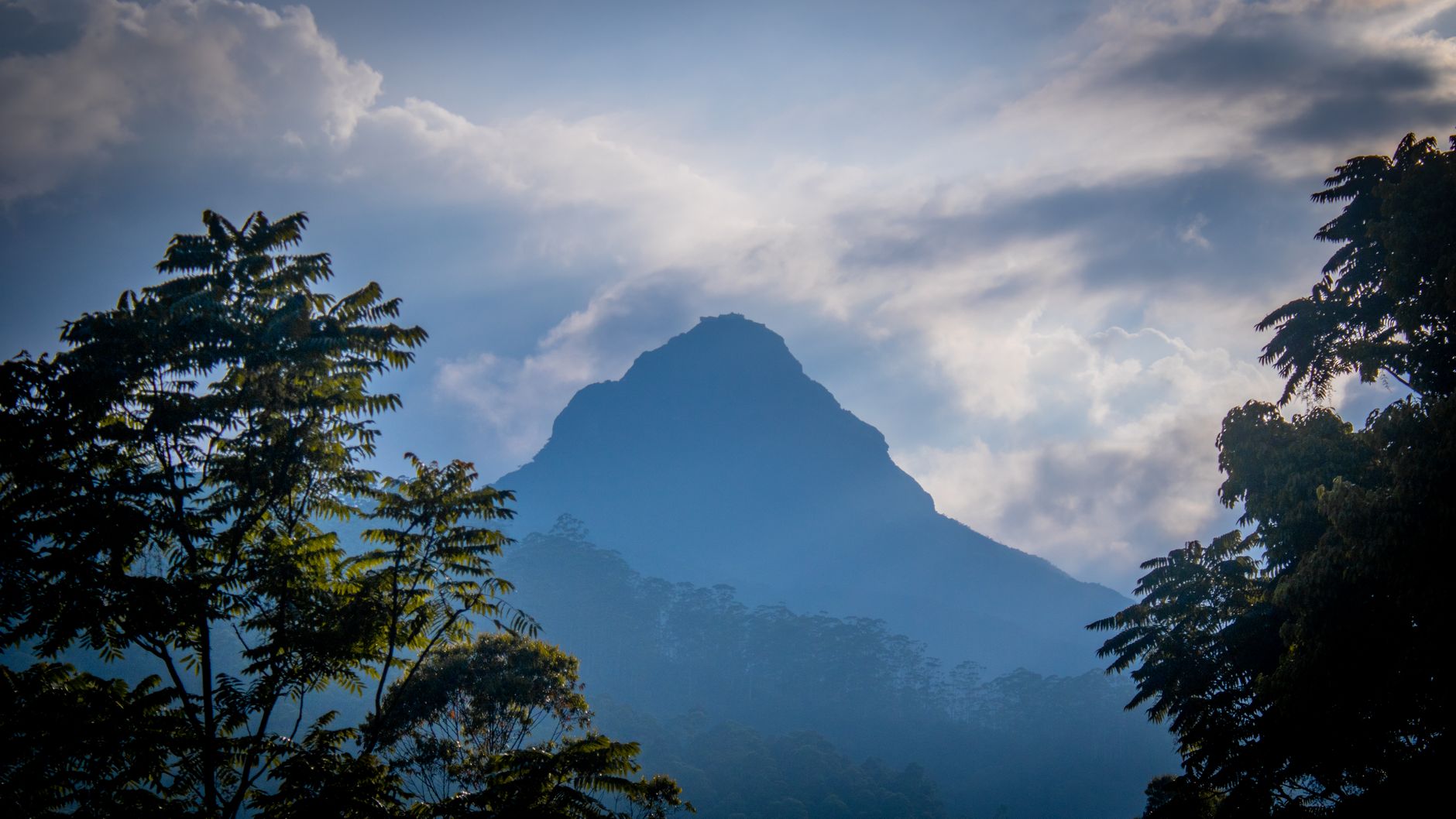 Adam's Peak rising through morning mist near Hatton