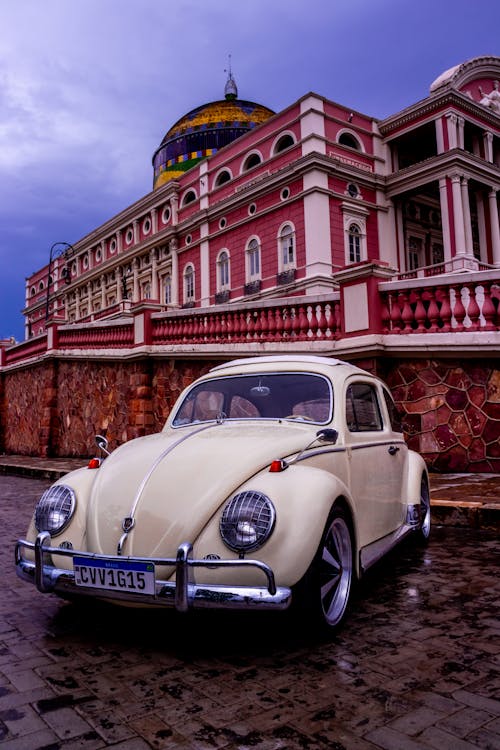 Бесплатное стоковое фото с volkswagen, Volkswagen Beetle, бразилия