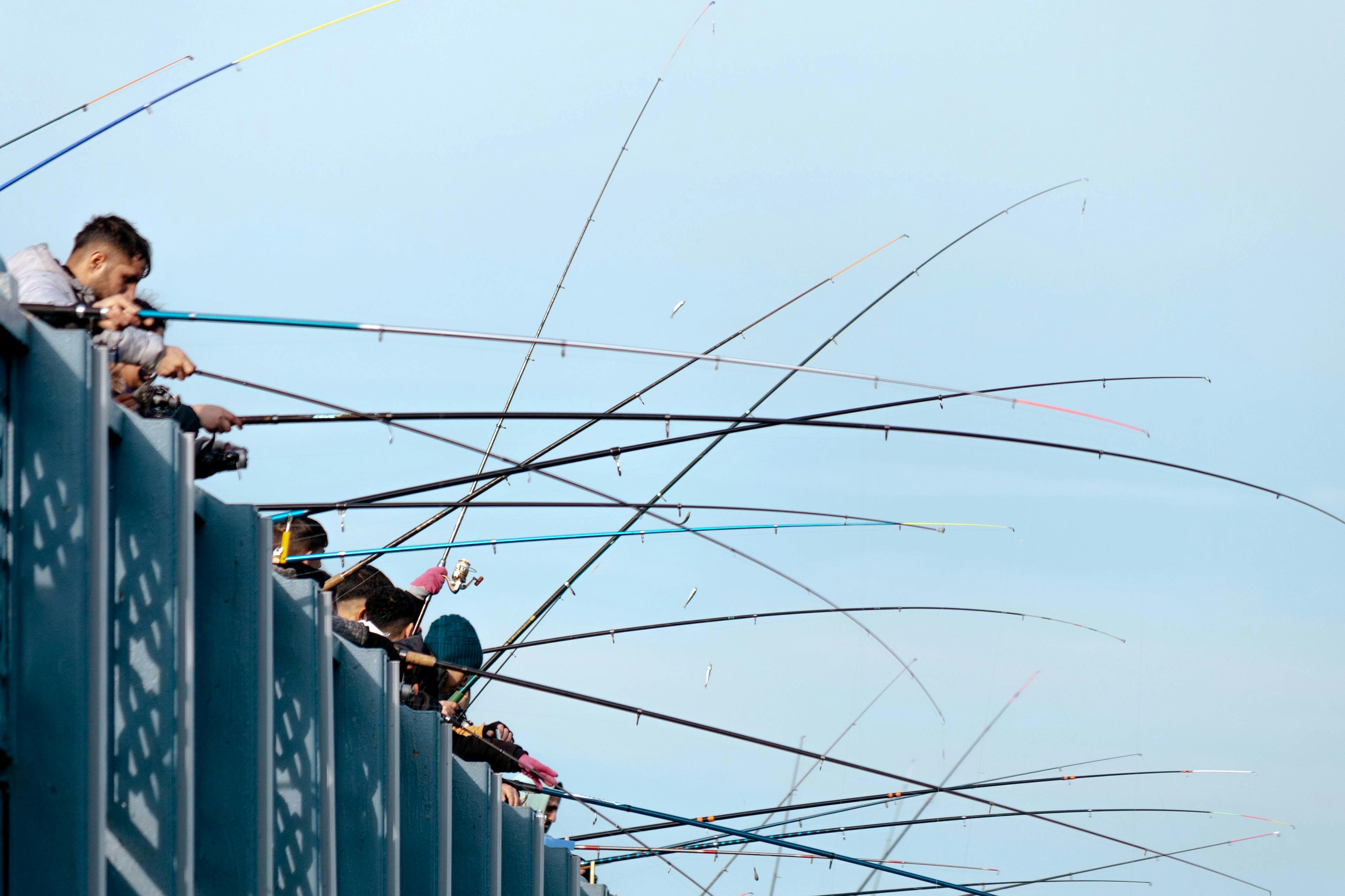 科技：你該知道的花蓮漁港釣魚區稽查！10件違規被開罰