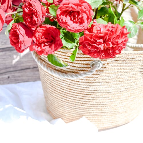 Red Roses in Rustic Basket