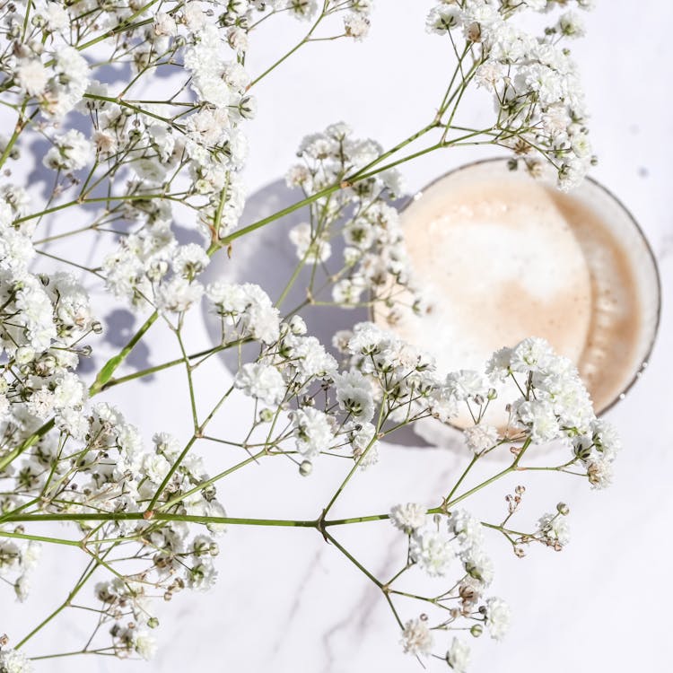 White Flower Buds Over Drink In Glass