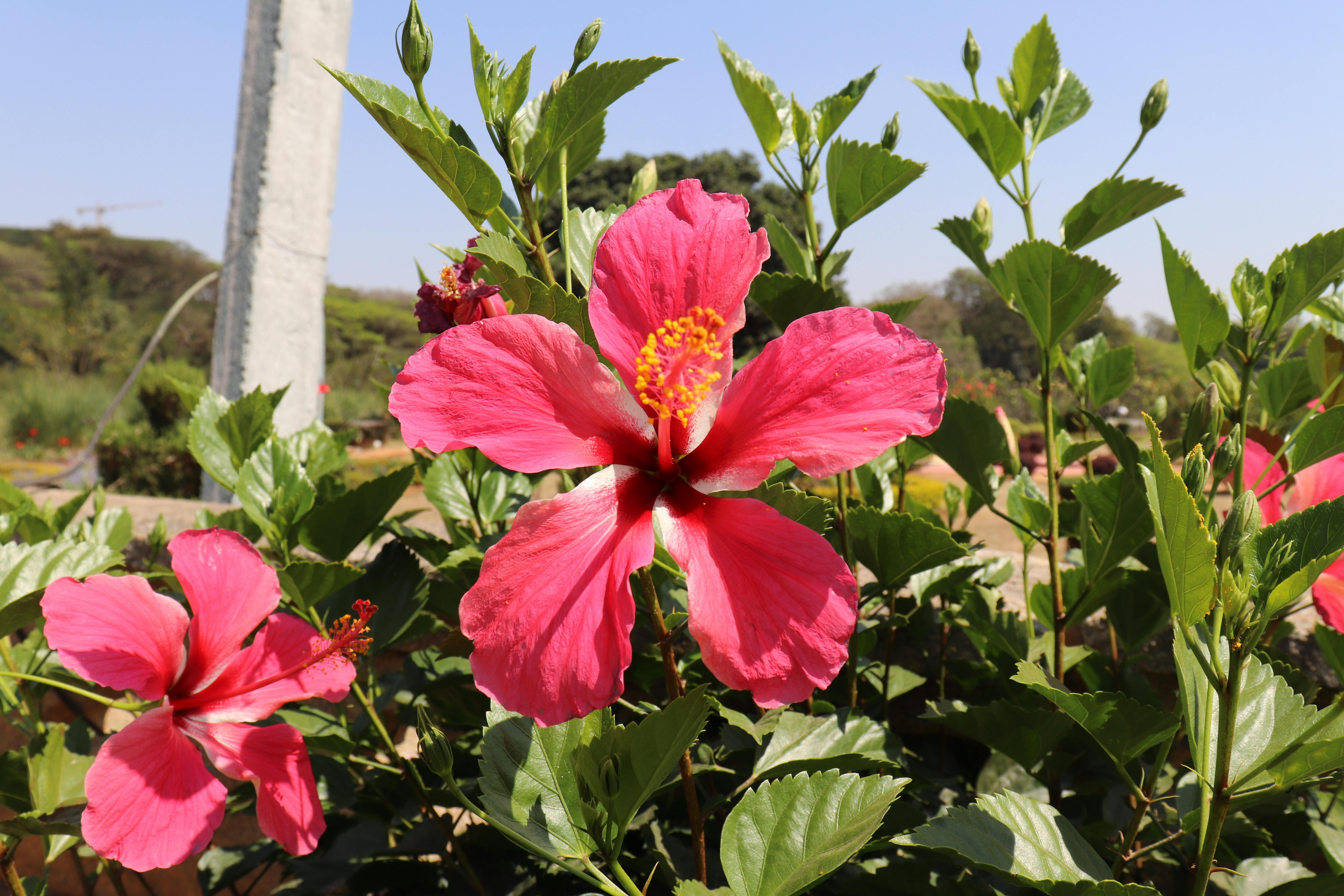 Image of a control panel