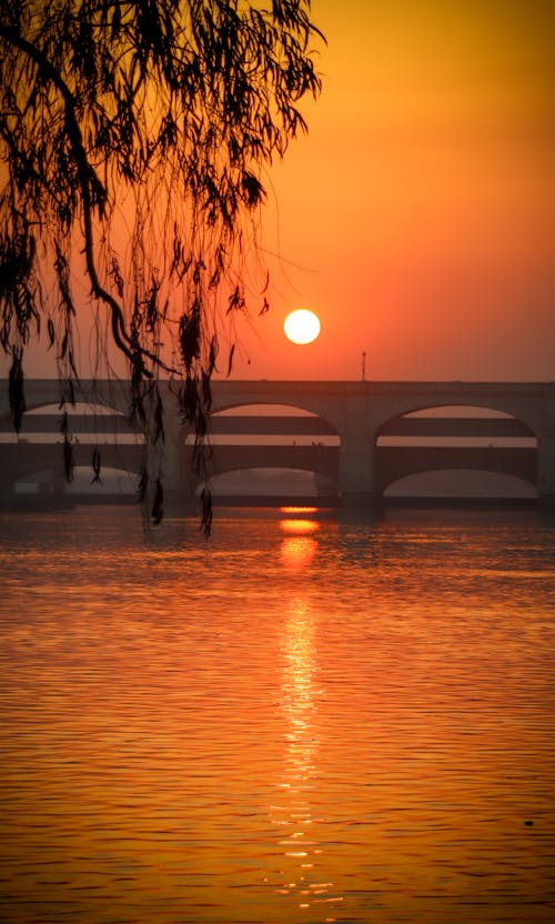Foto stok gratis Fajar, jembatan, langit emas
