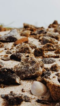 Close-up of rocky pebbles and a seashell on Rameswaram beach, India.