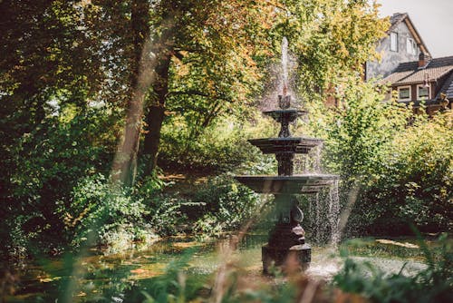公園, 噴泉, 城鎮 的 免费素材图片