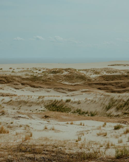 Sand Dunes in Arid Landscape