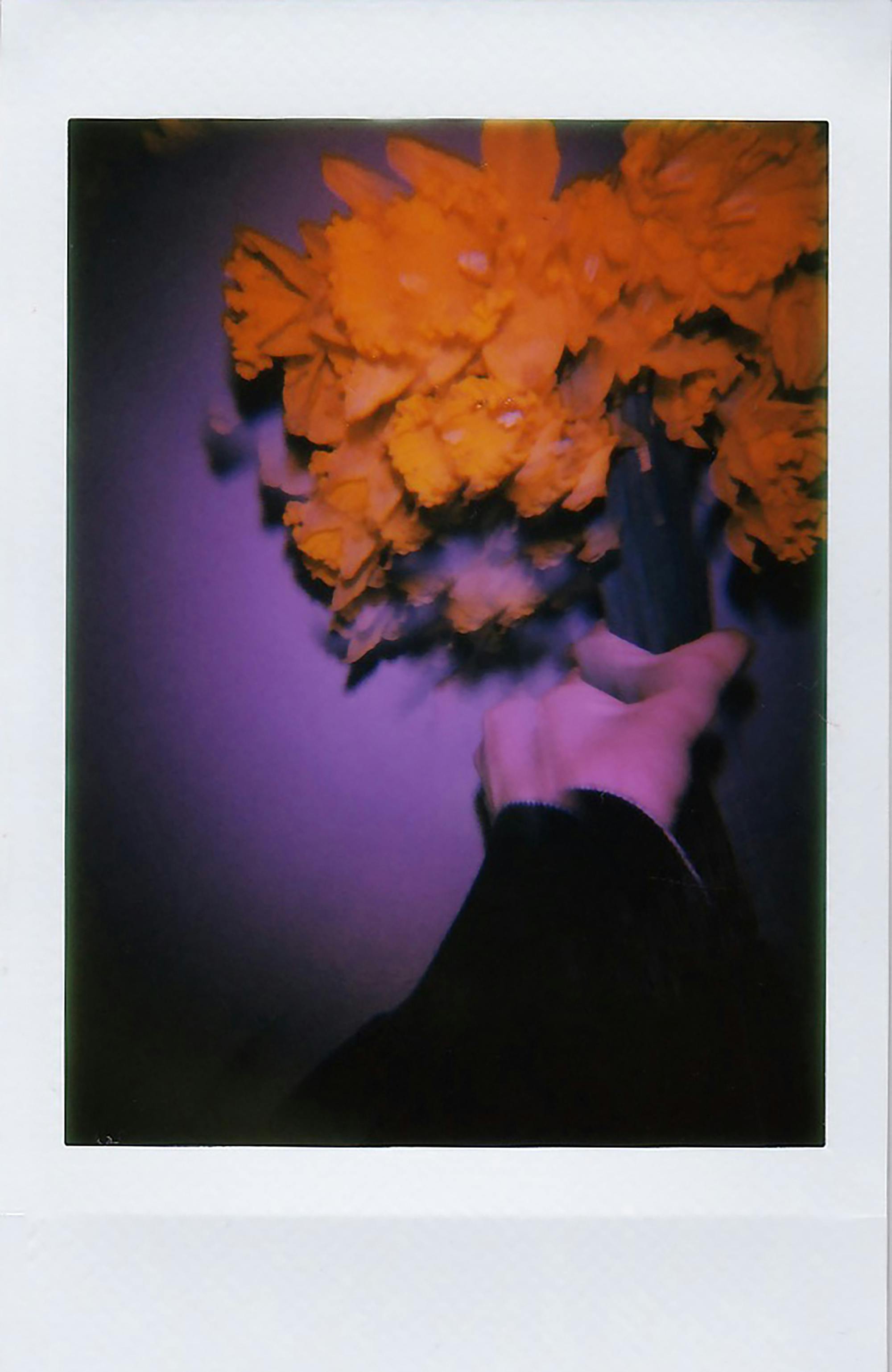 A vibrant daffodil bouquet captured in a polaroid style with a striking yellow and purple contrast.