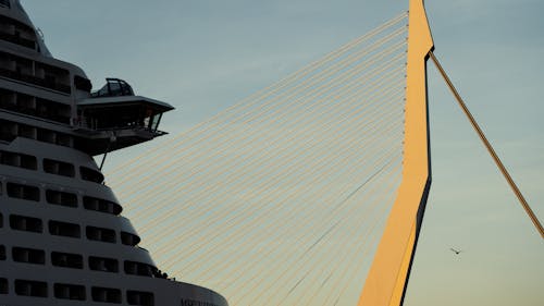 Cruise ship in front of Erasmus bridge Rotterdam 