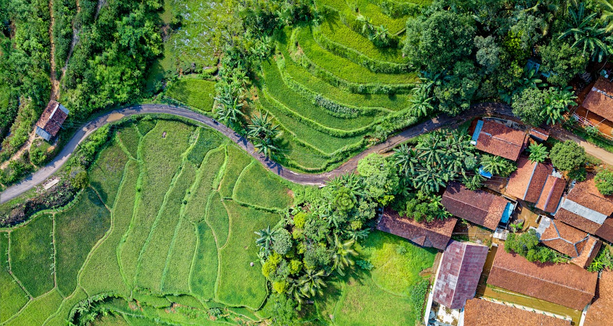 Aerial Photography Of Rice Terraces