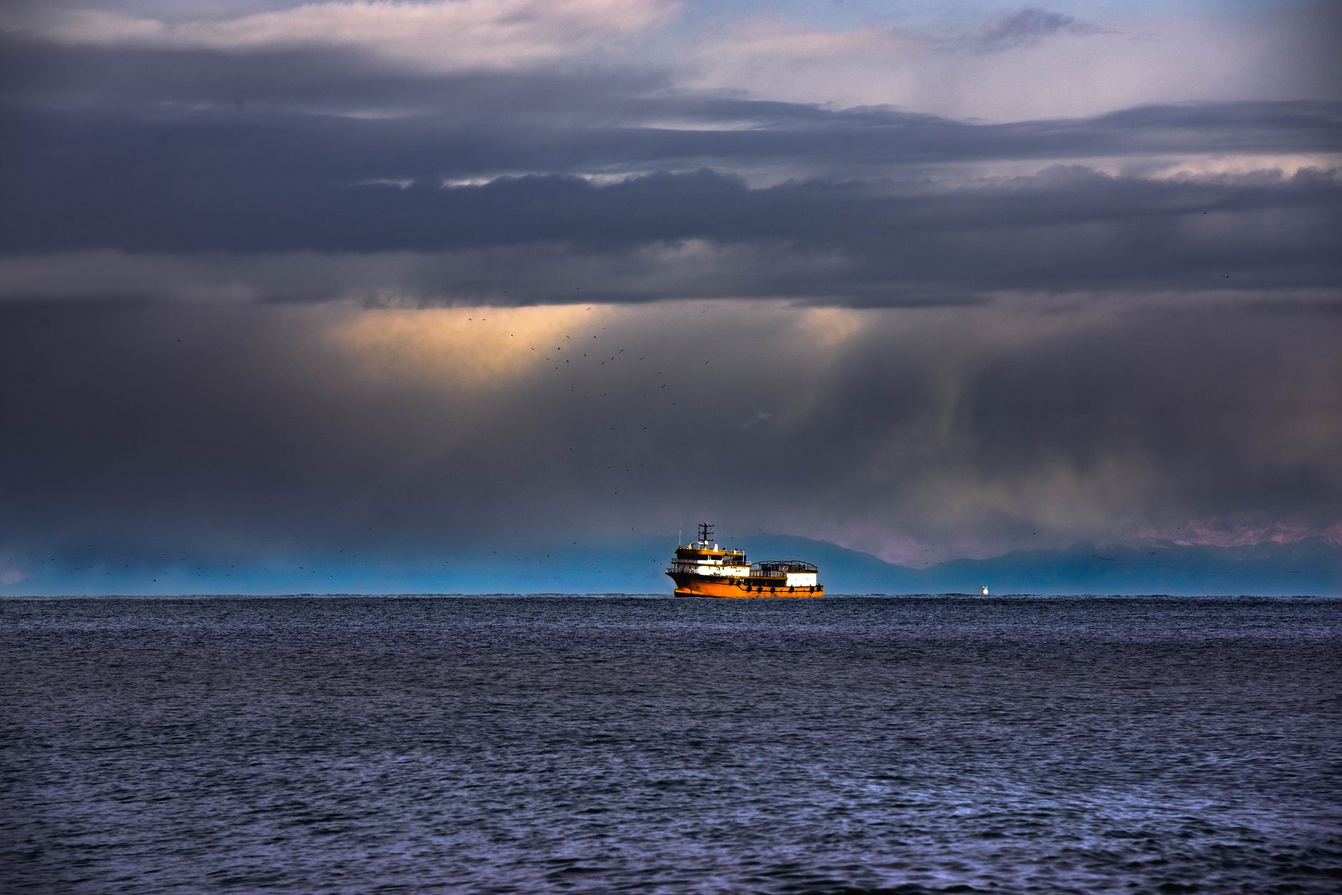 Global commodity markets surge as supply fears and climate disruptions intensify