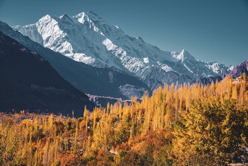 Immagine gratuita di autunno, catena montuosa, innevato