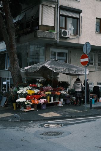Market flowers in buckets, photo by Nina zeynep güler on Pexels