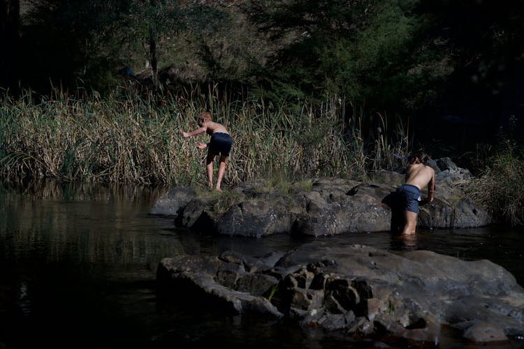 Children Jumping Into The Water 