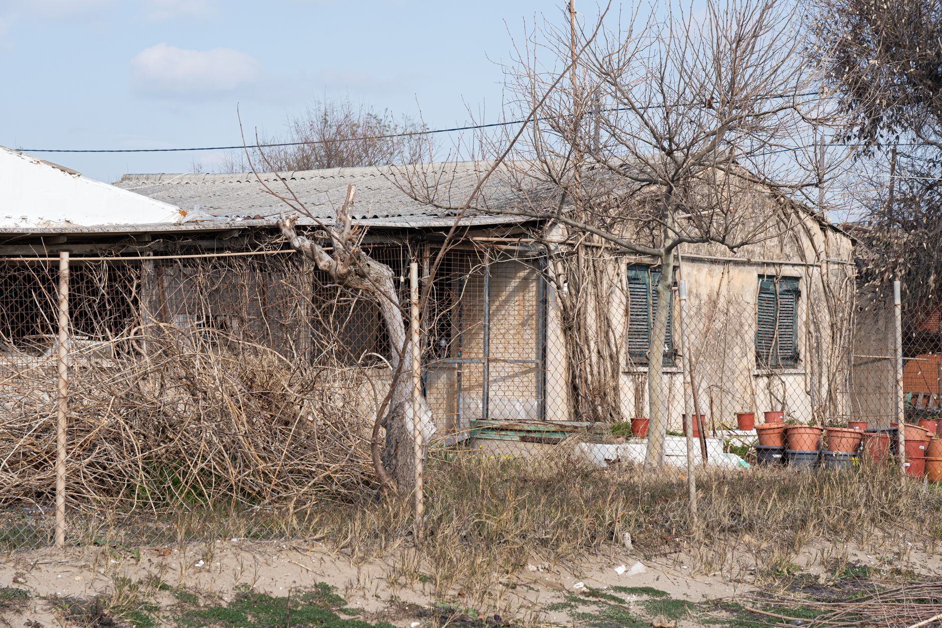 Empty rural property outside Austin with locked gates and warning signs at twilight