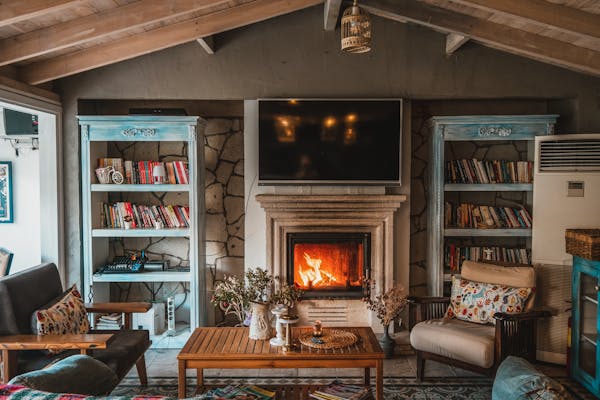 charming living room with fireplace - dried indoor plants - large bookshelf in living room