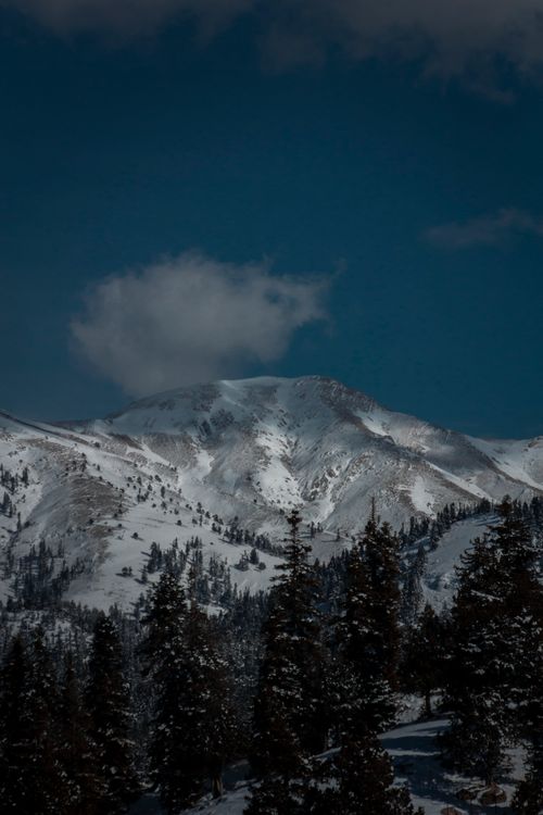 Free Stunning winter mountain landscape in Adana, Türkiye, with snow-covered peaks and pine trees. Stock Photo