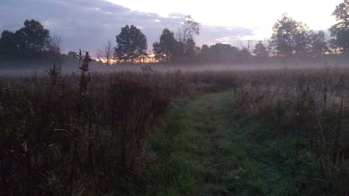Free stock photo of fog, prairie, sunrise