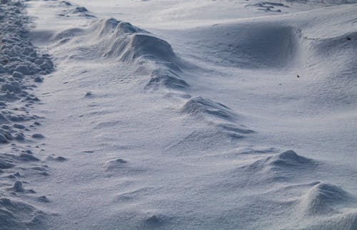 бесплатная Бесплатное стоковое фото с земля, зима, простуда Стоковое фото