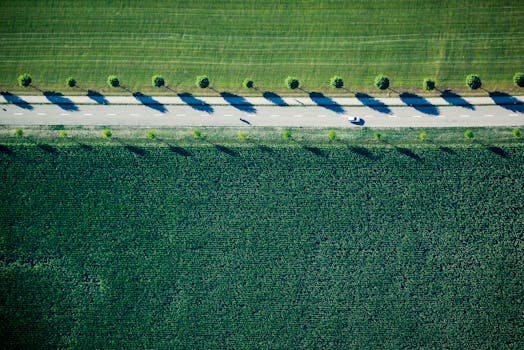 瑞士尼德鲁兹维尔的一条道路，在无人机视角下，两旁是田野和树木