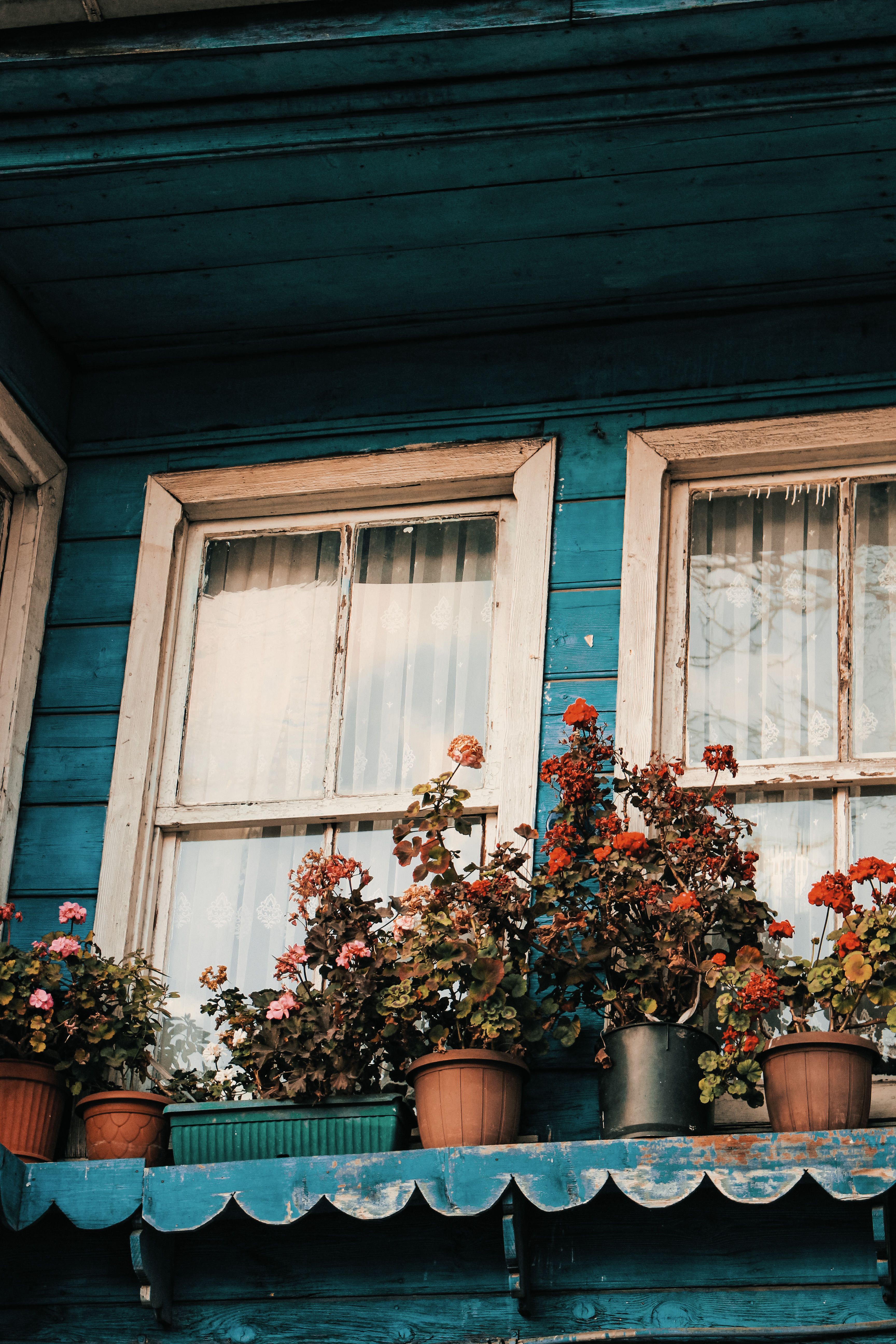 Exterior Design of Wooden Window Frame with Potted Flowers on Wood ...