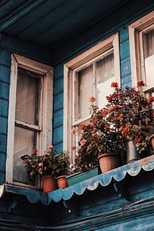Free Colorful flowerpots adorn a rustic blue building with vintage windows, enhancing architectural beauty. Stock Photo