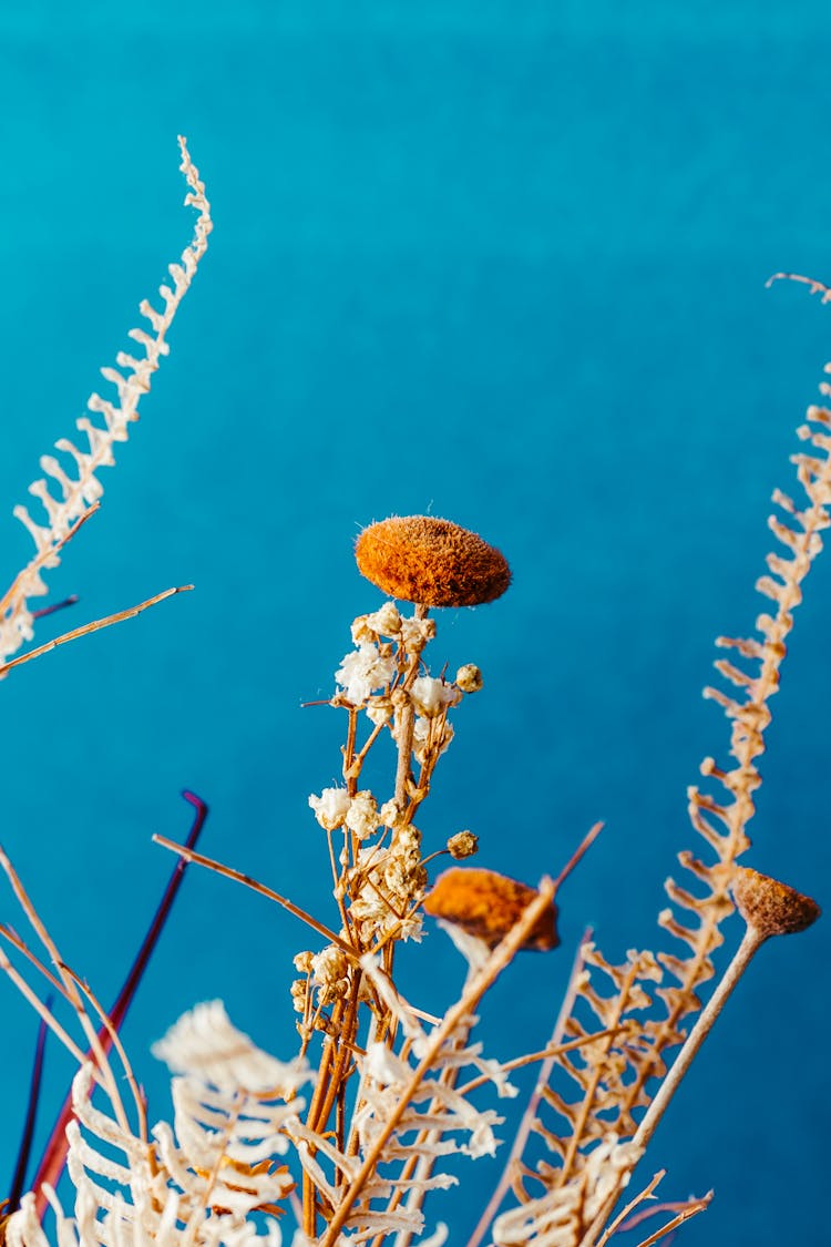 Plants And Water Behind