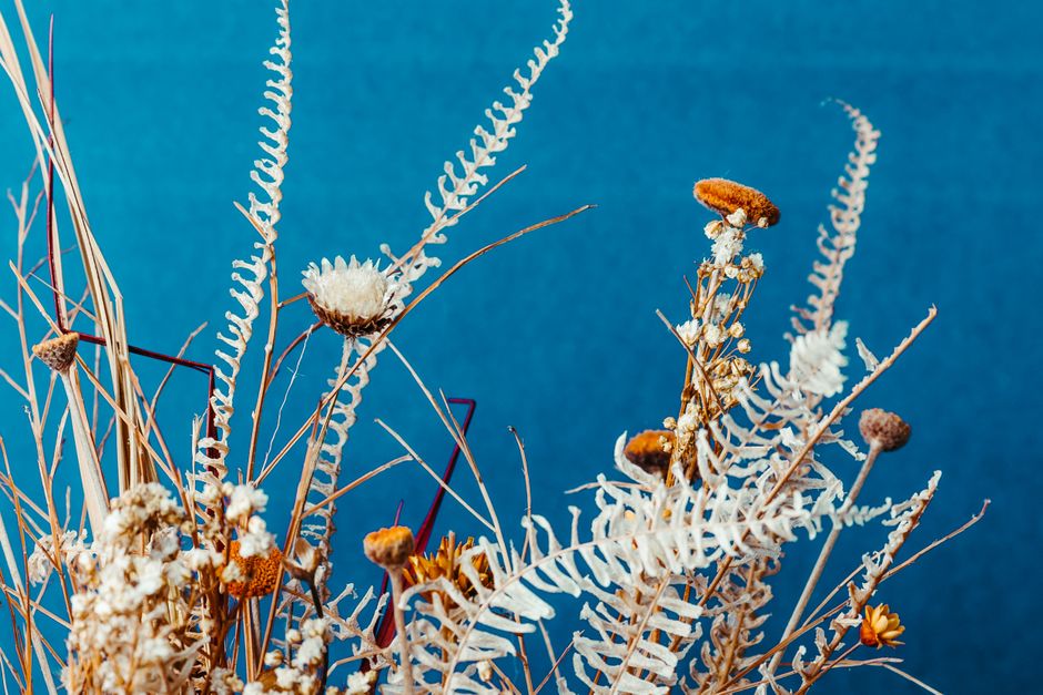 Gedroogde bloemen in herfstkrans op deur. Gedroogde bloemen in herfstkrans op deur.