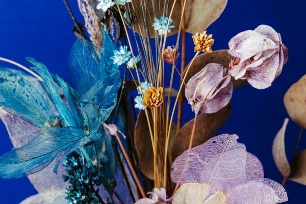 Dried flower arrangement by Jonathan Borba on Pexels
