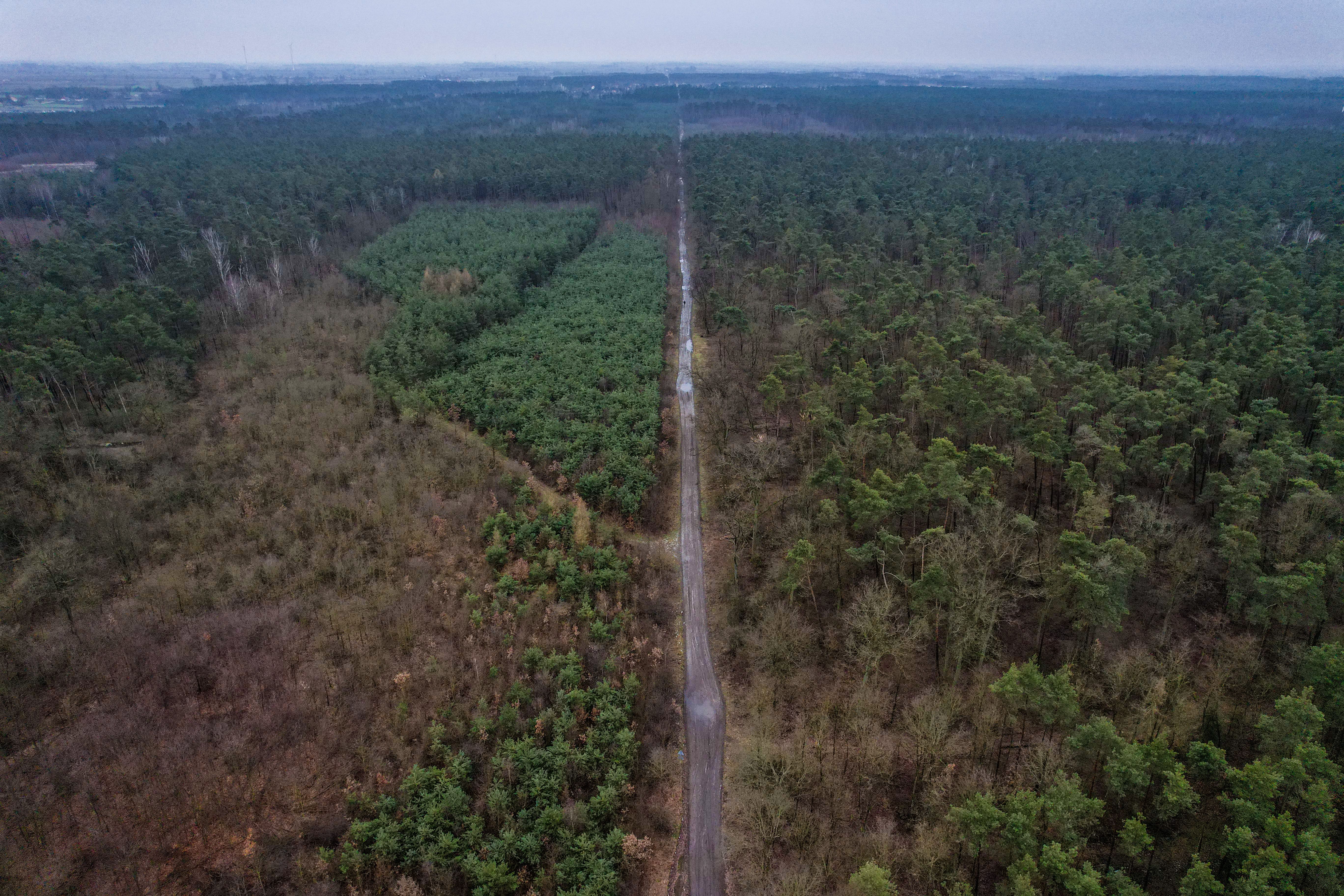 Aerial shot showcasing a lengthy dirt road cutting through a dense, lush forest, offering a captivating natural scenery.