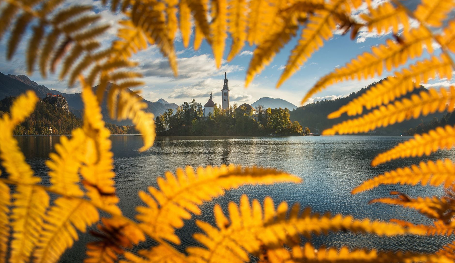 Lake Bled with its island church and mountains framed by autumn leaves, Slovenia