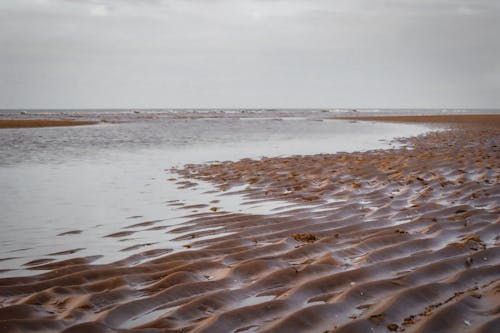 Безкоштовне стокове фото на тему «берег, вода, море»