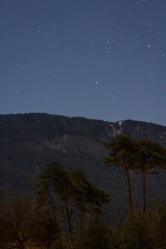 A serene night sky with stars over a mountainous forest scene.