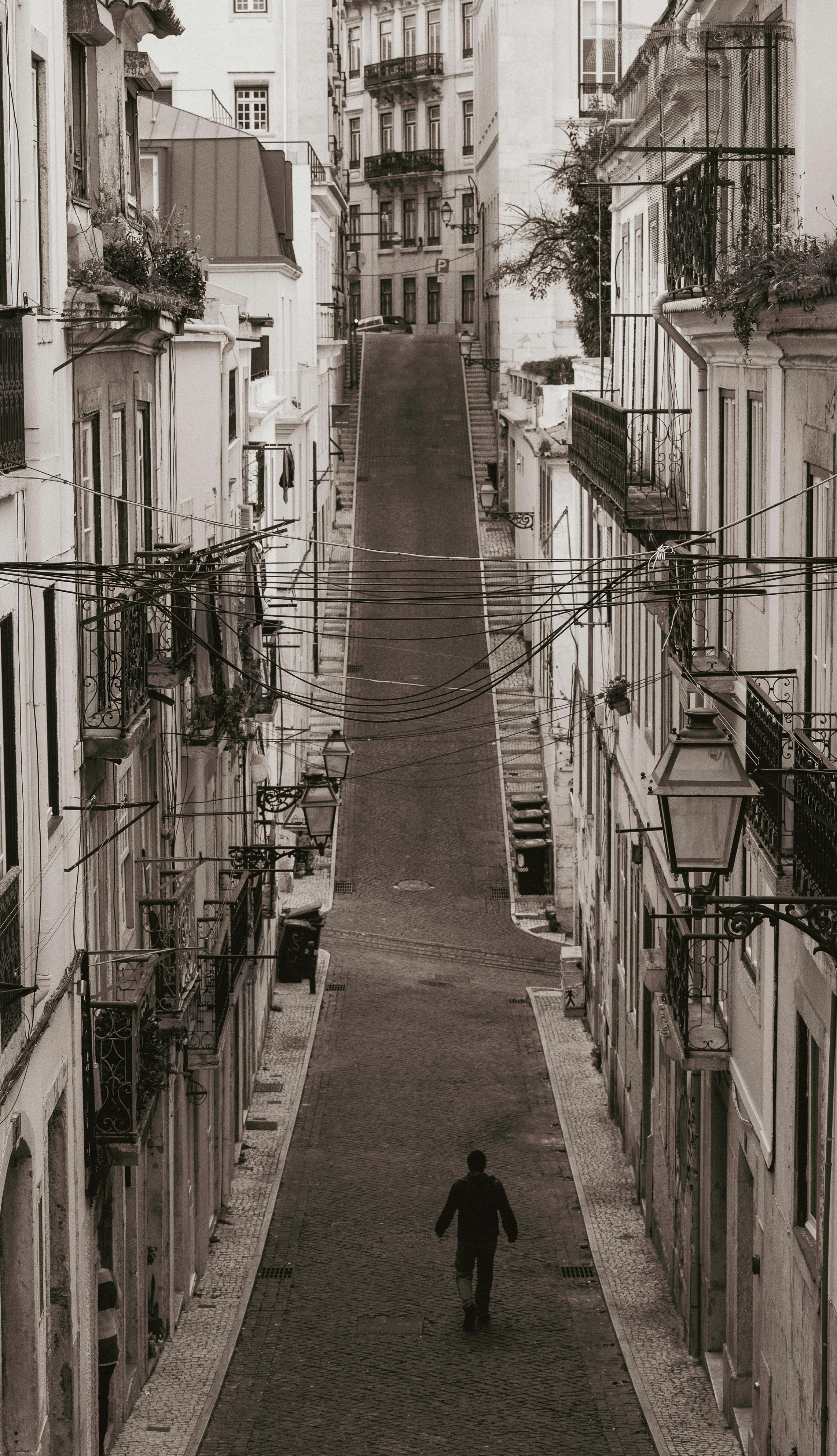 Palestine City Photos, Download The BEST Free Palestine City Stock